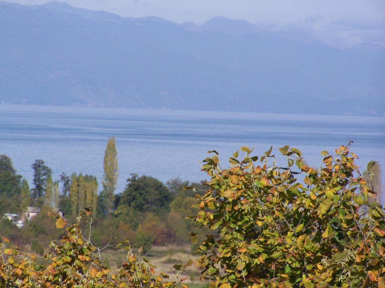 Vila Popovski Ljubaništa Εξωτερικό φωτογραφία
